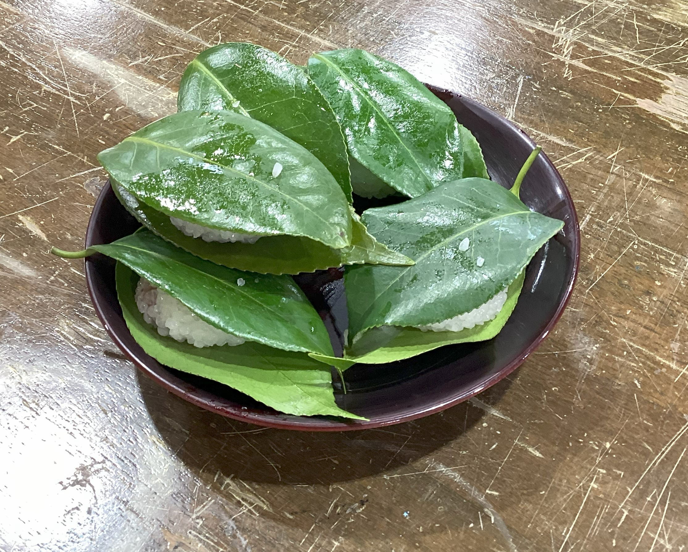 �����݂̂���j�̌��ف@���n�@�����@���َq